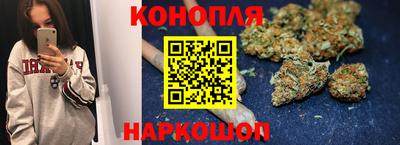 прущие грибы Бузулук