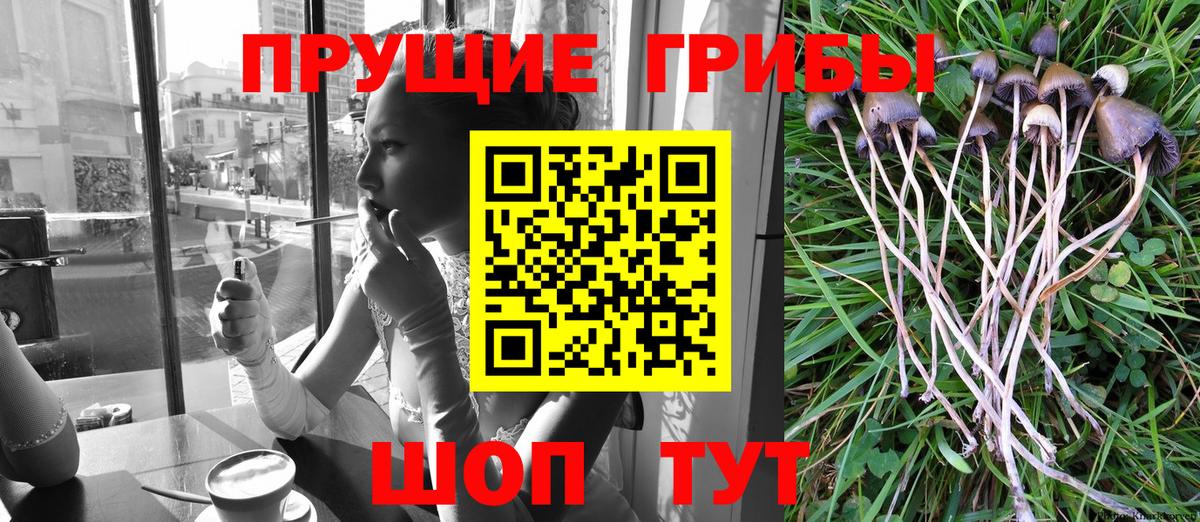 Галлюциногенные грибы Cubensis  Вход с VPN  Галлюциногенные грибы MAGIC MUSHROOMS  Пенза 